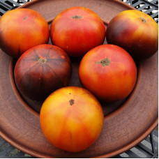 Tomato seeds «Blue Jollies»