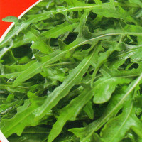 Wild arugula seeds