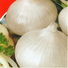 Onion seeds «Ali-Baba»