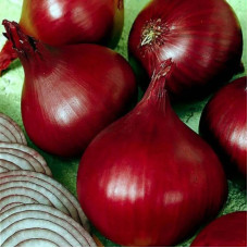 Onion seeds «Red Baron»