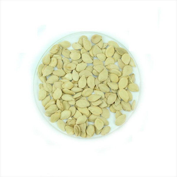 Pumpkin seeds «Scheherazade stars»