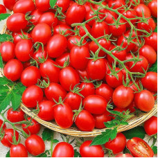 Tomato seeds «Children's sweet»