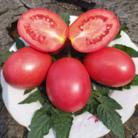 Tomato seeds «Pink Fresh»