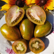 Tomato seeds «Dwarf Audrey's Love»