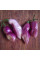 Hot pepper seeds «Pimenta de Neyde Trinidad Douglah»