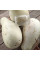 Calabash seeds «For rootstock»