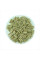 Calabash seeds «For rootstock»