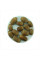 Macedonian oak seeds