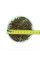 Cosmos seeds «Klondike»