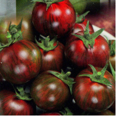 Tomato seeds «Vernissage Black»