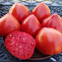 Tomato seeds «Sugar Heart»