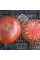 Tomato seeds «Morado»