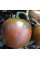 Tomato seeds «Chocmato»