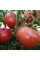 Tomato seeds «Almansa»