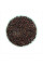 Grape seeds «Alpha»