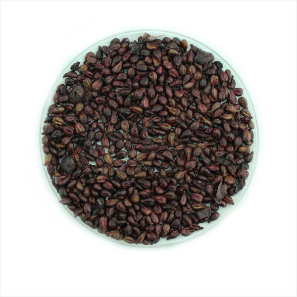 Grape seeds «Alpha»
