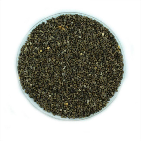 Viper's bugloss seeds