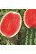 Watermelon seeds «Turbo 840» F1