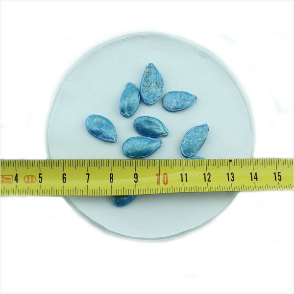 Pumpkin seeds «Uchiki Kuri»