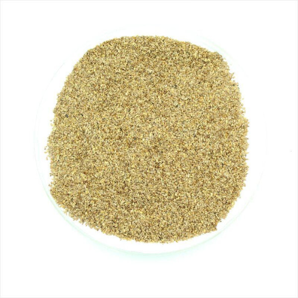 Clustered bellflower seeds «Glomerata»