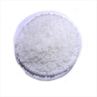 Potassium nitrate - 100 grams