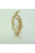 Reed canary grass seeds