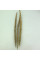 Sand ryegrass seeds