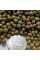 Bloody dogwood seeds