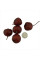 Eastern mayhaw seeds